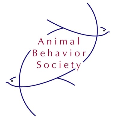 ABS Logo