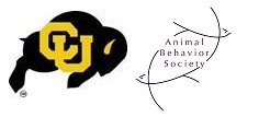 CU_ABS