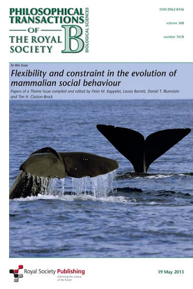 Recent Publications