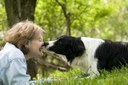 Applied Animal Behavior